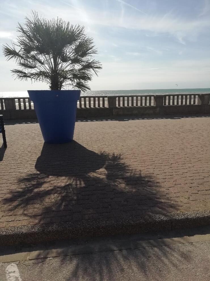 T3 Rez-De-Chaussee Lumineux Avec Terrasse Proche Plage Кюк Экстерьер фото